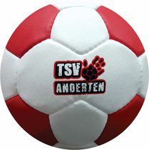 PU Training and Match Hanball TSV Anderten