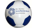 26 Panel Penta Football Steuerberater