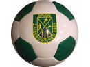 26 Panel Penta soccer ball SPVGG