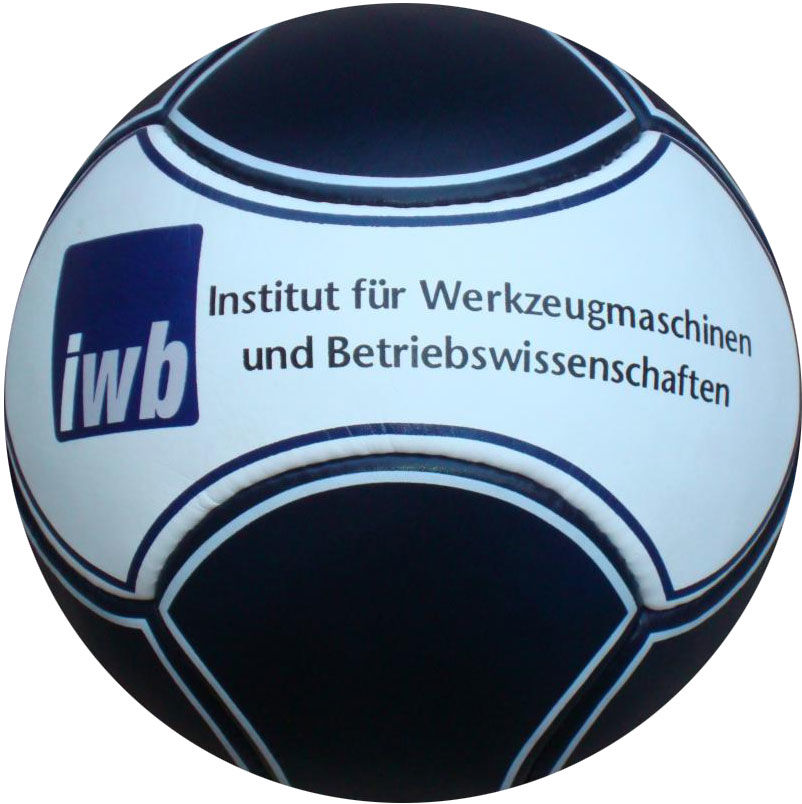 6 Panel Fußball iwb