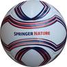 6 Panel Football SPRINGER NATURE