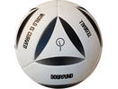 20 panel X design football DOGOUND