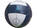 20 panel X design football Dream Team