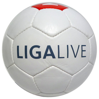 football 28 panel classic design, soccer ball, printed, logo