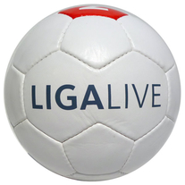 28 Panel Fußball Liga Live - WDR