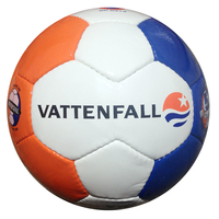 Soccer ball 30 panel classic design