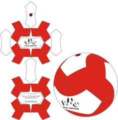 14 panel football 'Boomerang' design