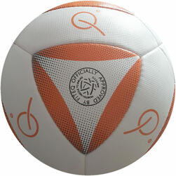 14 panel football 'TELE' design