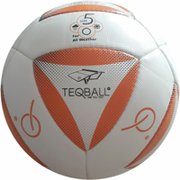 14 panel football 'TELE' design