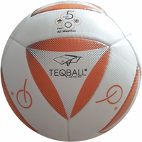 14 panel football 'TELE' design