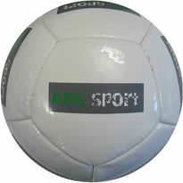 12 Panel Promotion Football AOK