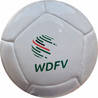 12 panel mini ball WDFV