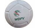 12 panel mini ball WDFV