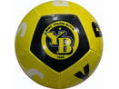 12 panel mini ball Young Boys