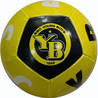 12 panel mini ball Young Boys