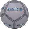 12 panel mini ball DELTA
