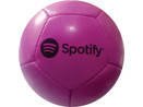 12 panel mini ball Spotify