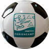 mini ball 26 panel PENTA design
