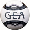 6 Panel Miniball GEA