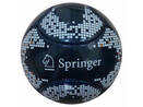 6 panel mini ball Springer