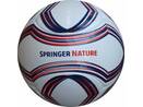 6 panel mini soccer ball Springer Nature