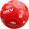 Classic design mini football TSV
