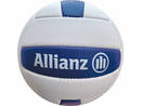 Volleyball Allianz