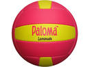 Vollleyball Paloma