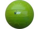 Promotion Volleyball N-JOY