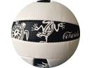 Beach Volleyball Geko