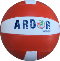 Promotion Volleyball