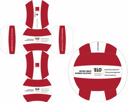 custom Volleyball Layout insignio