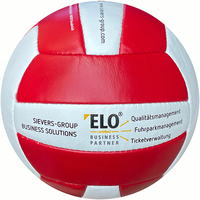 Match custom Volleyball insignio