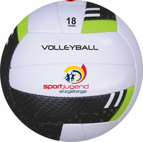 Leisure & Promotion custom Volleyball