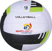 Leisure & Promotion Volleyball