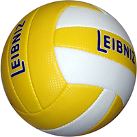 Leisure and training Volleyball