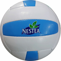 Match custom Volleyball NESTEA