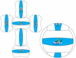 custom Volleyball Layout NESTEA