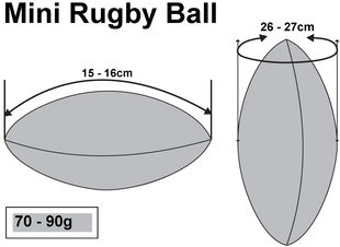 Mini Promotion Rugby
