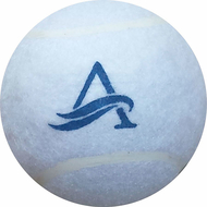 Training-first - screen printing