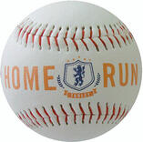 Custom Baseball Training