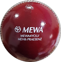 customized Cricket ball