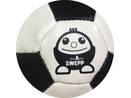 Softball SWEPP