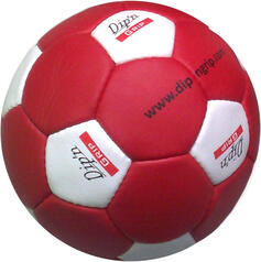PU Training and Match Hanball D&G