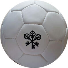 Promotion Handball UBS