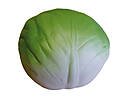 Stress Cabbage
