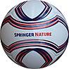 6 Panel Football SPRINGER NATURE