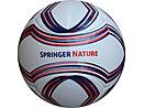 6 Panel Football SPRINGER NATURE