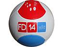 6 Panel Football FD14