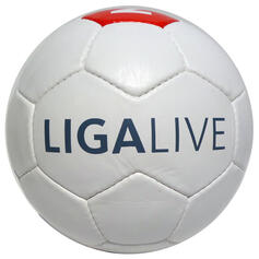 football 28 panel classic design, soccer ball, printed, logo